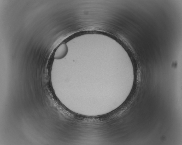 X0000114420876200911131448