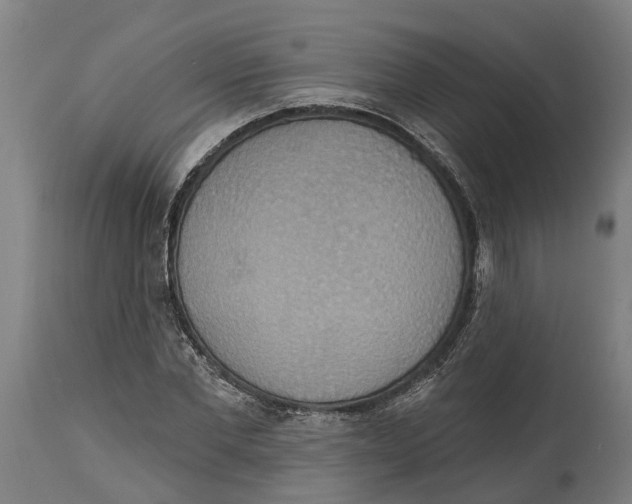 X0000114420877200911131448