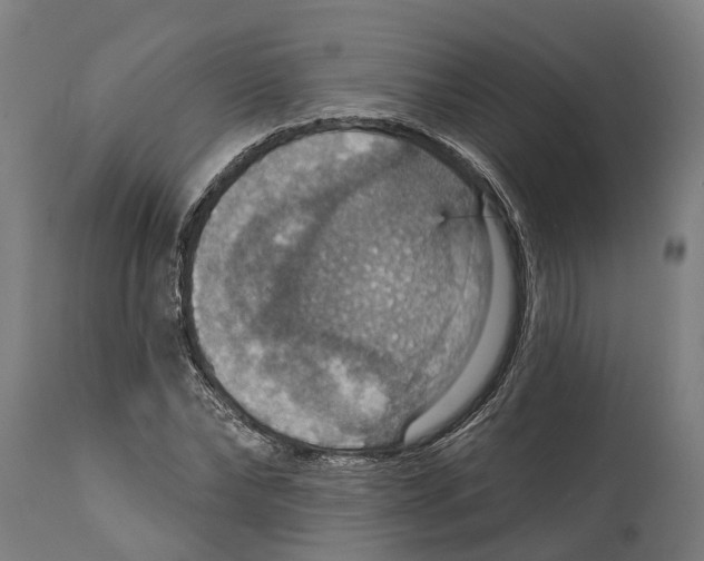 X0000114420878200911131448