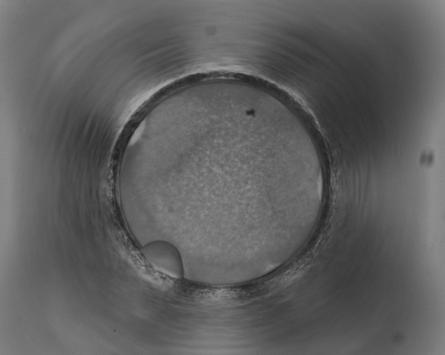 X0000114420879200911131448