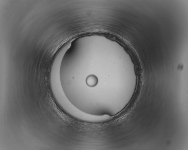 X0000114420881200911131448