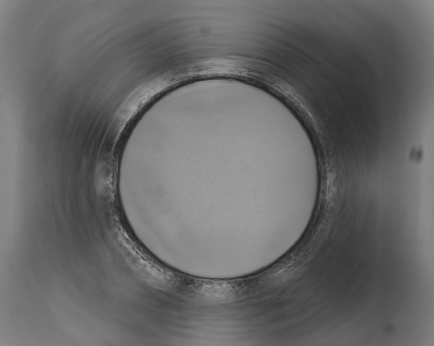 X0000114420882200911131448