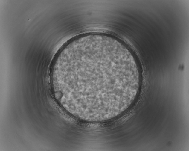 X0000114420883200911131448