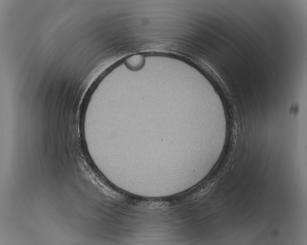 X0000114420884200911131448