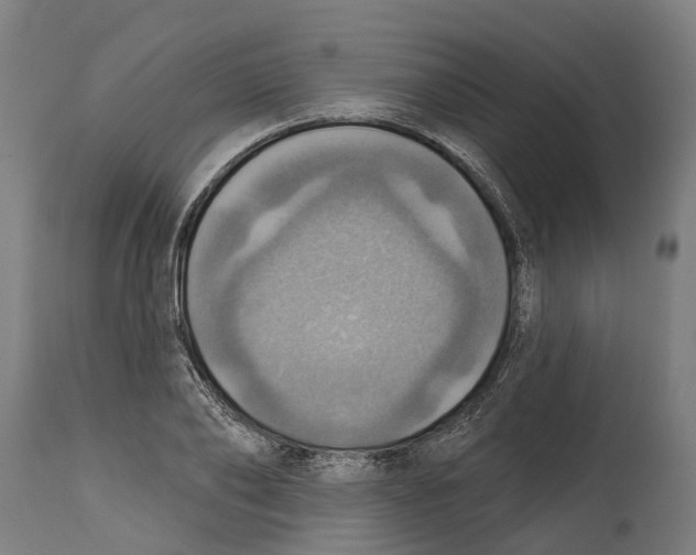 X0000114420886200911131448