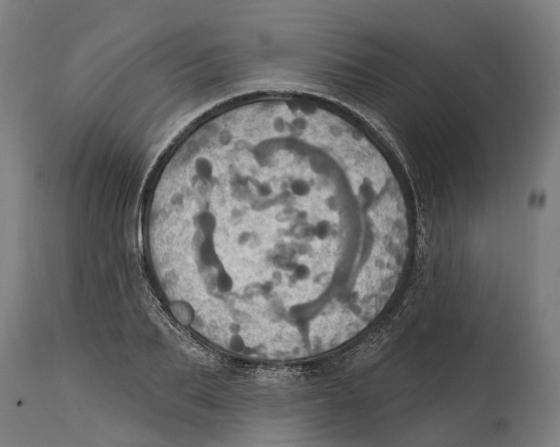 X0000114420887200911131448