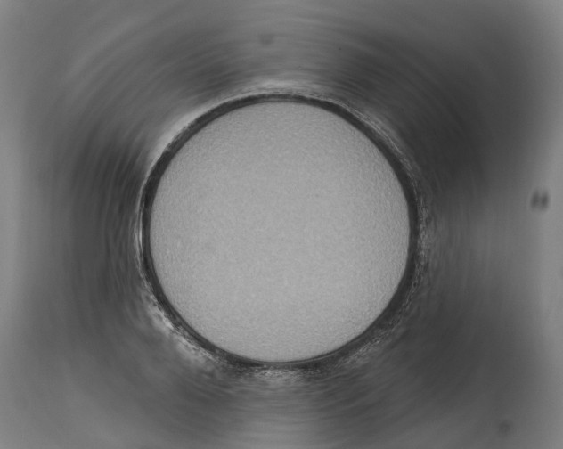 X0000114420888200911131448