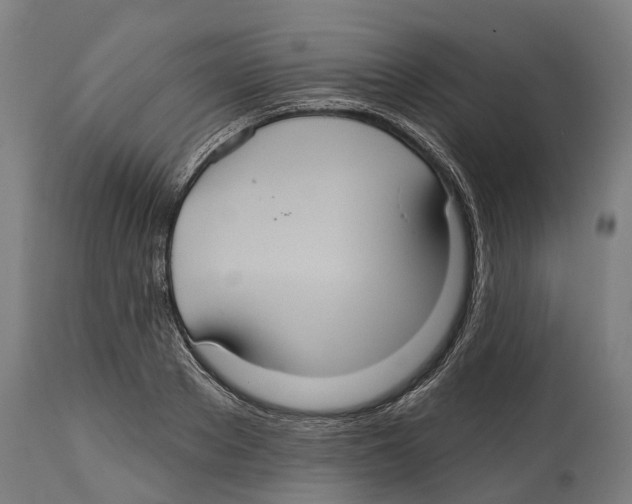 X0000114420889200911131448