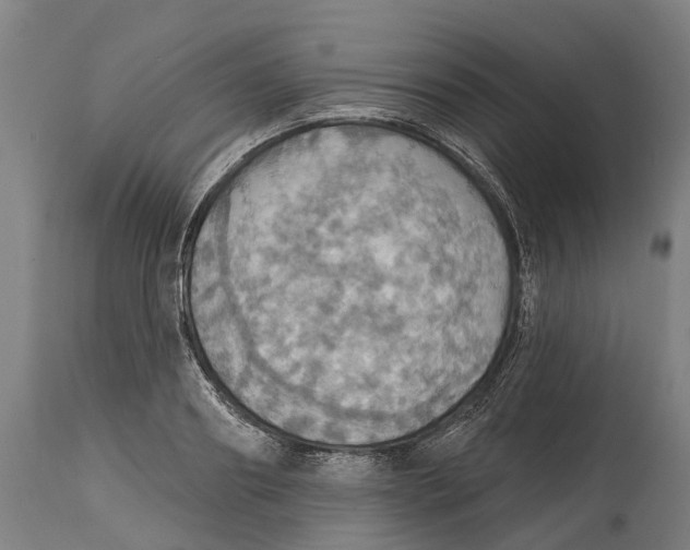 X0000114420890200911131448