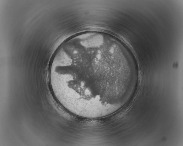 X0000114420891200911131448