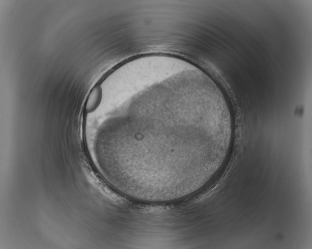 X0000114420892200911131448