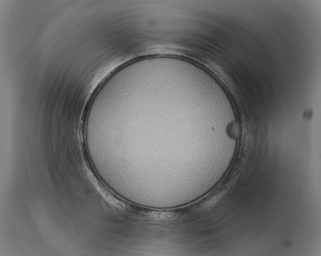 X0000114420893200911131448