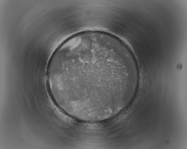 X0000114420895200911131448