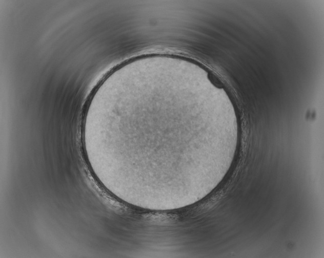 X0000114420896200911131448