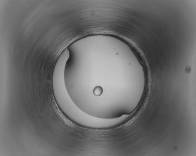 X0000114420897200911131448