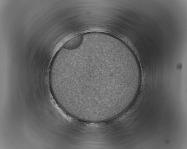 X0000114420898200911131448