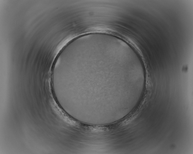 X0000114420899200911131448