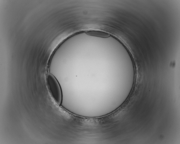 X0000114420901200911131448