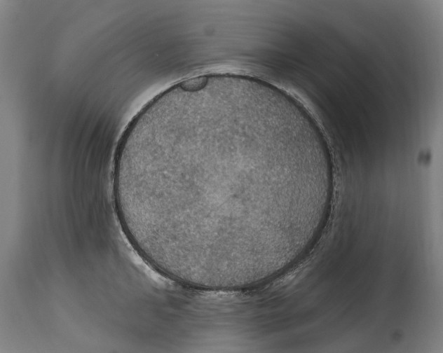 X0000114420902200911131448