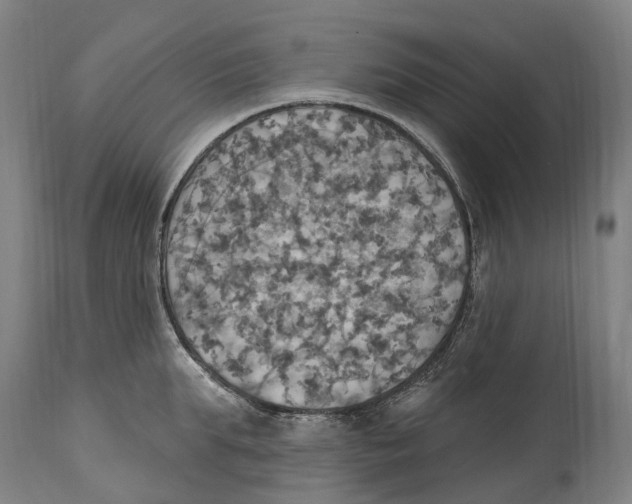 X0000114420903200911131448