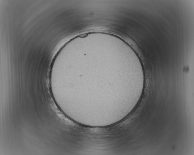 X0000114420904200911131448