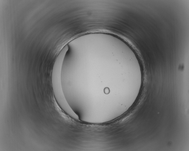 X0000114420905200911131448