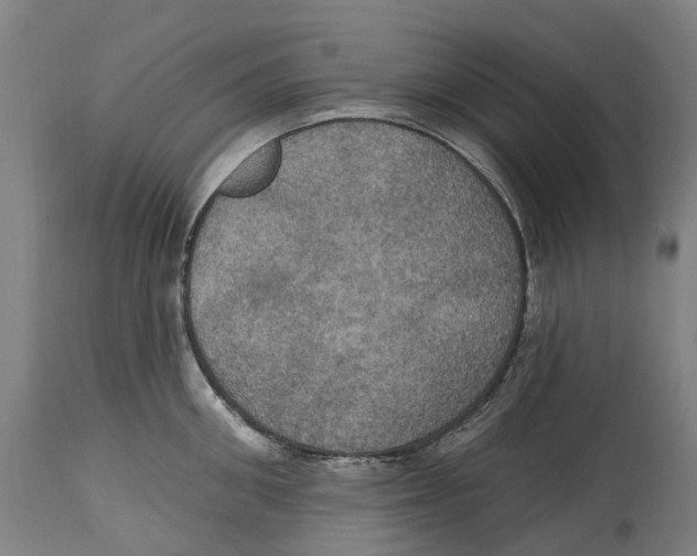 X0000114420906200911131448