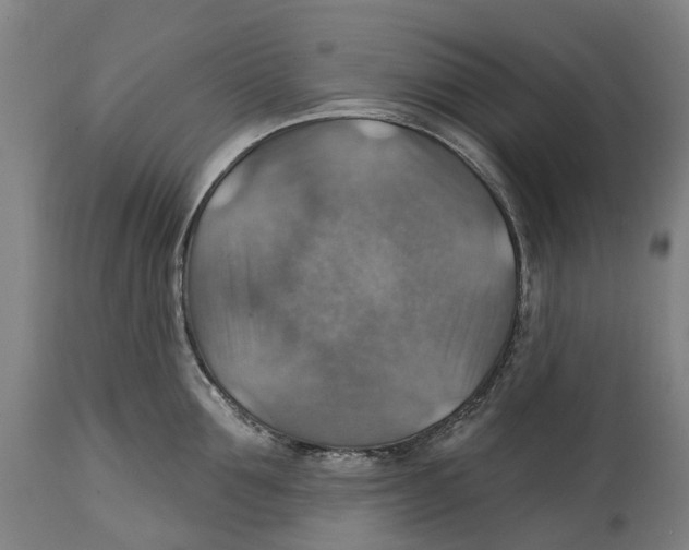 X0000114420907200911131448