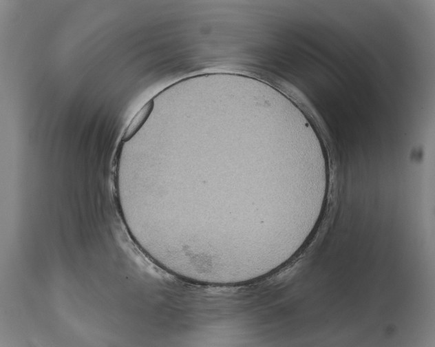 X0000114420908200911131448