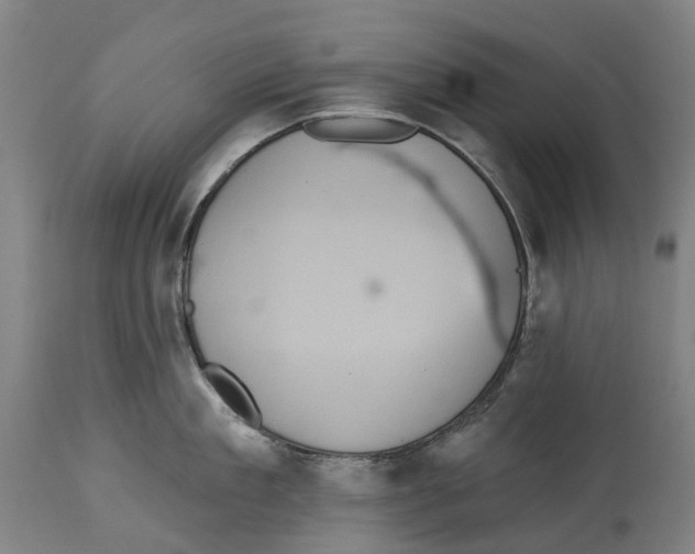 X0000114420909200911131448