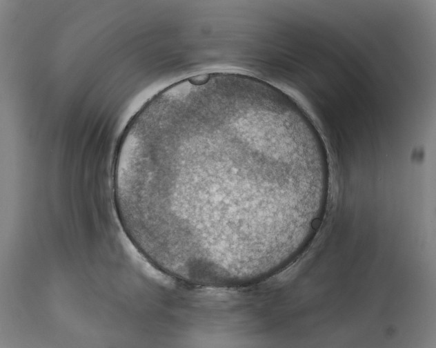 X0000114420910200911131448