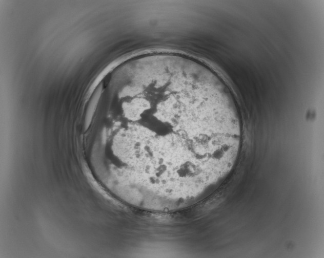 X0000114420911200911131448