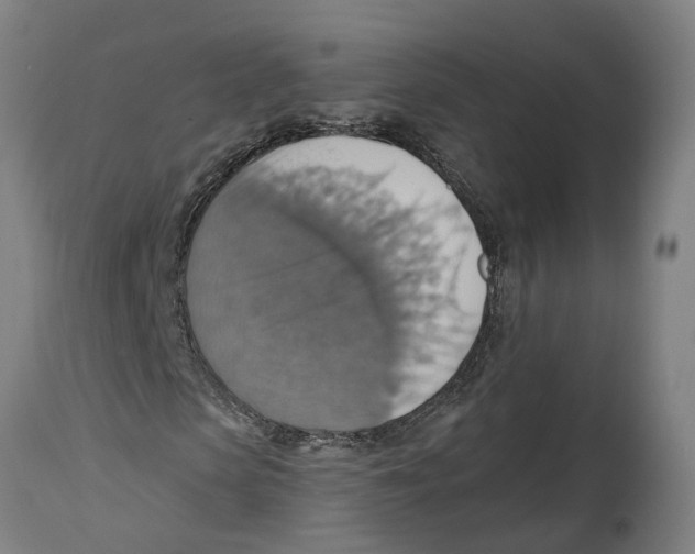 X0000114420913200911131447