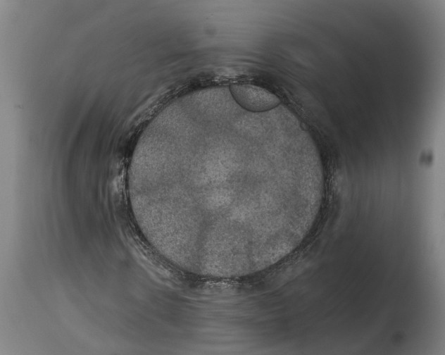 X0000114420914200911131447