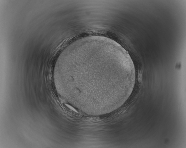 X0000114420915200911131447