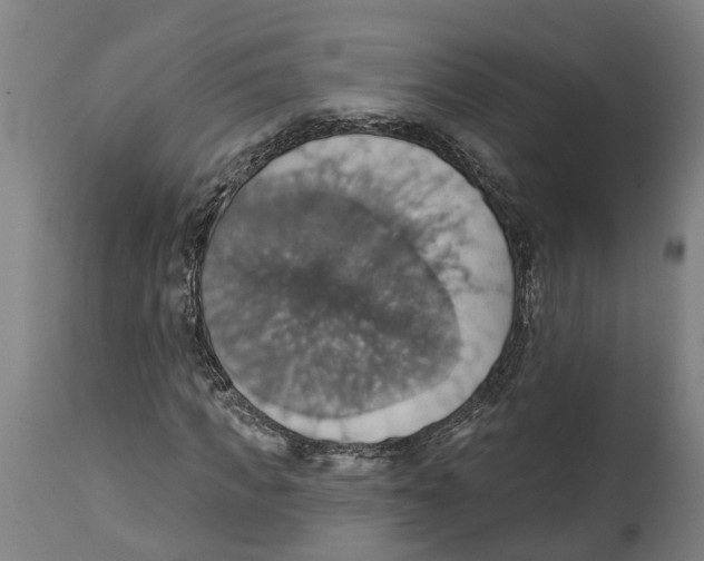 X0000114420917200911131447