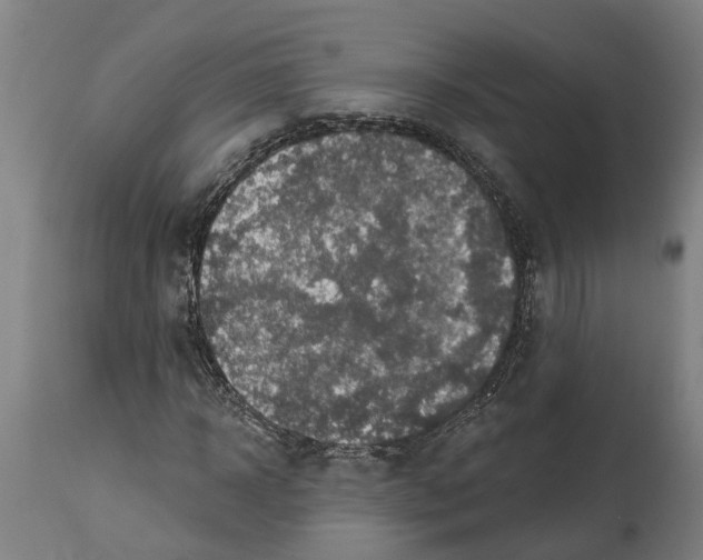 X0000114420918200911131447