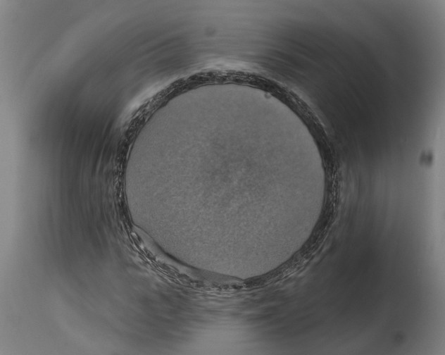 X0000114420919200911131447