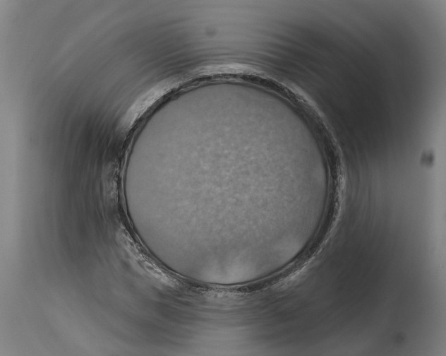 X0000114420921200911131447