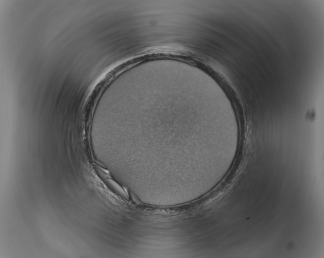 X0000114420923200911131447