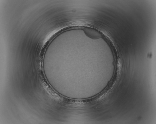 X0000114420925200911131447