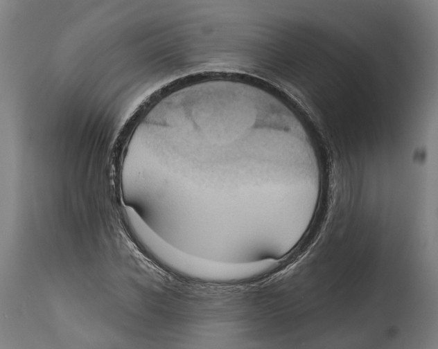 X0000114420926200911131447