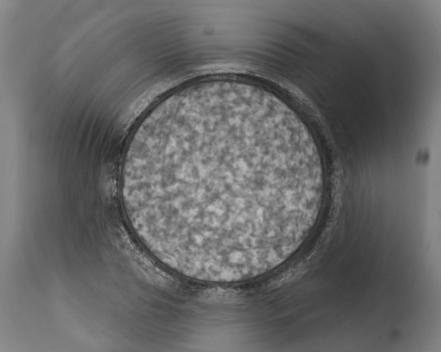 X0000114420929200911131447