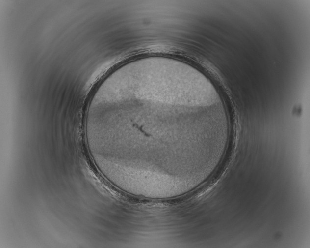 X0000114420930200911131447