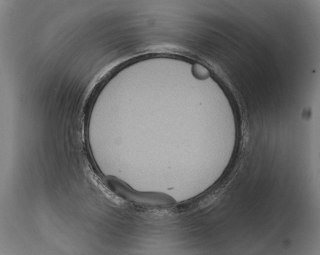 X0000114420931200911131447