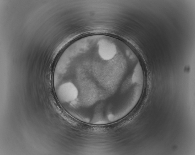 X0000114420933200911131447