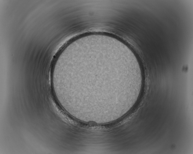 X0000114420934200911131447