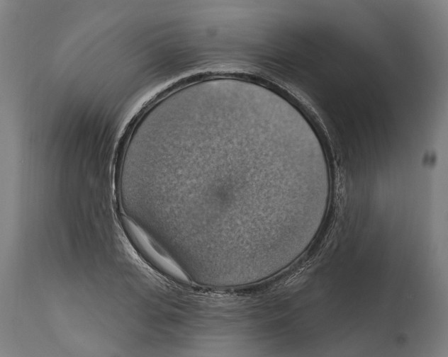 X0000114420935200911131447