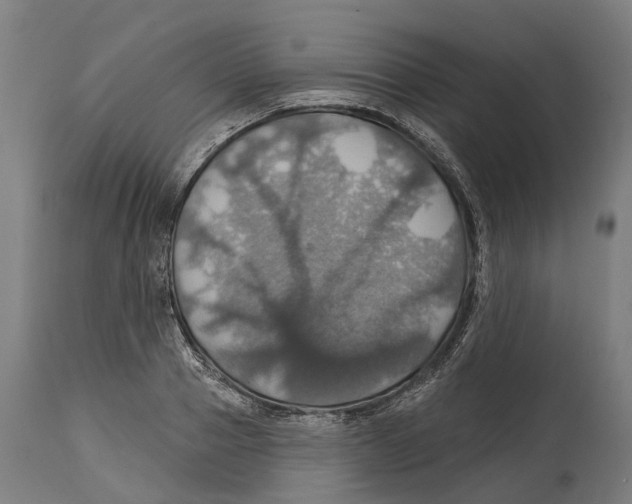 X0000114420937200911131448