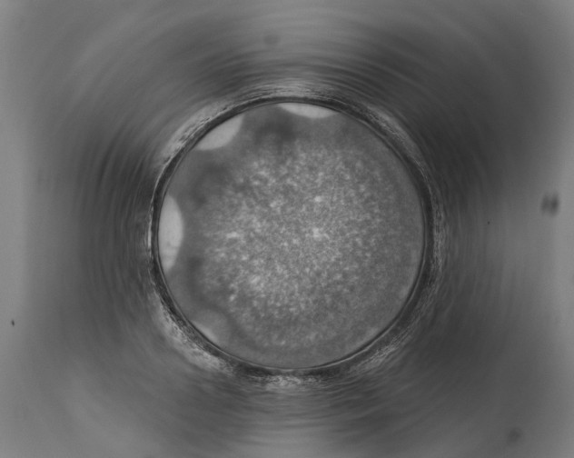 X0000114420938200911131448